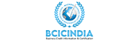 BCICI Search Engine Marketing Services